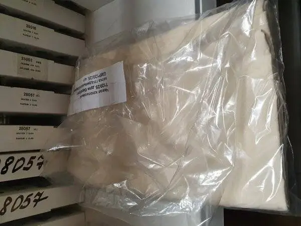 mini1cbed065-9252-44df-94c4-ccaac9a68d88