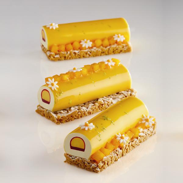 81cec07d-6c01-4a89-9f93-3805d3e33f61